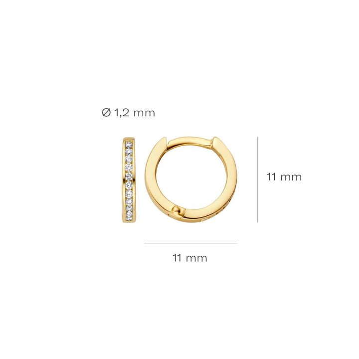 Blush Diamonds Ohrringe 14k Gelbgold - 7614YDI