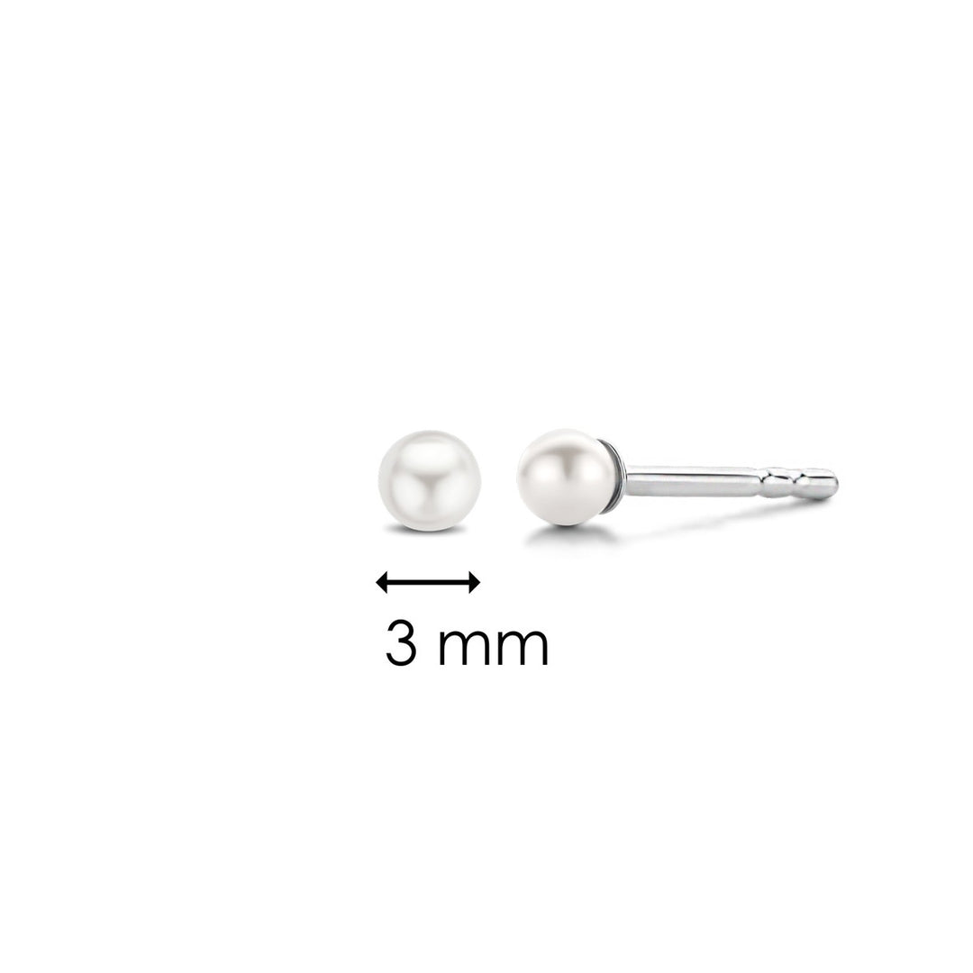Ti Sento Milano Ohrringe - 7841PW