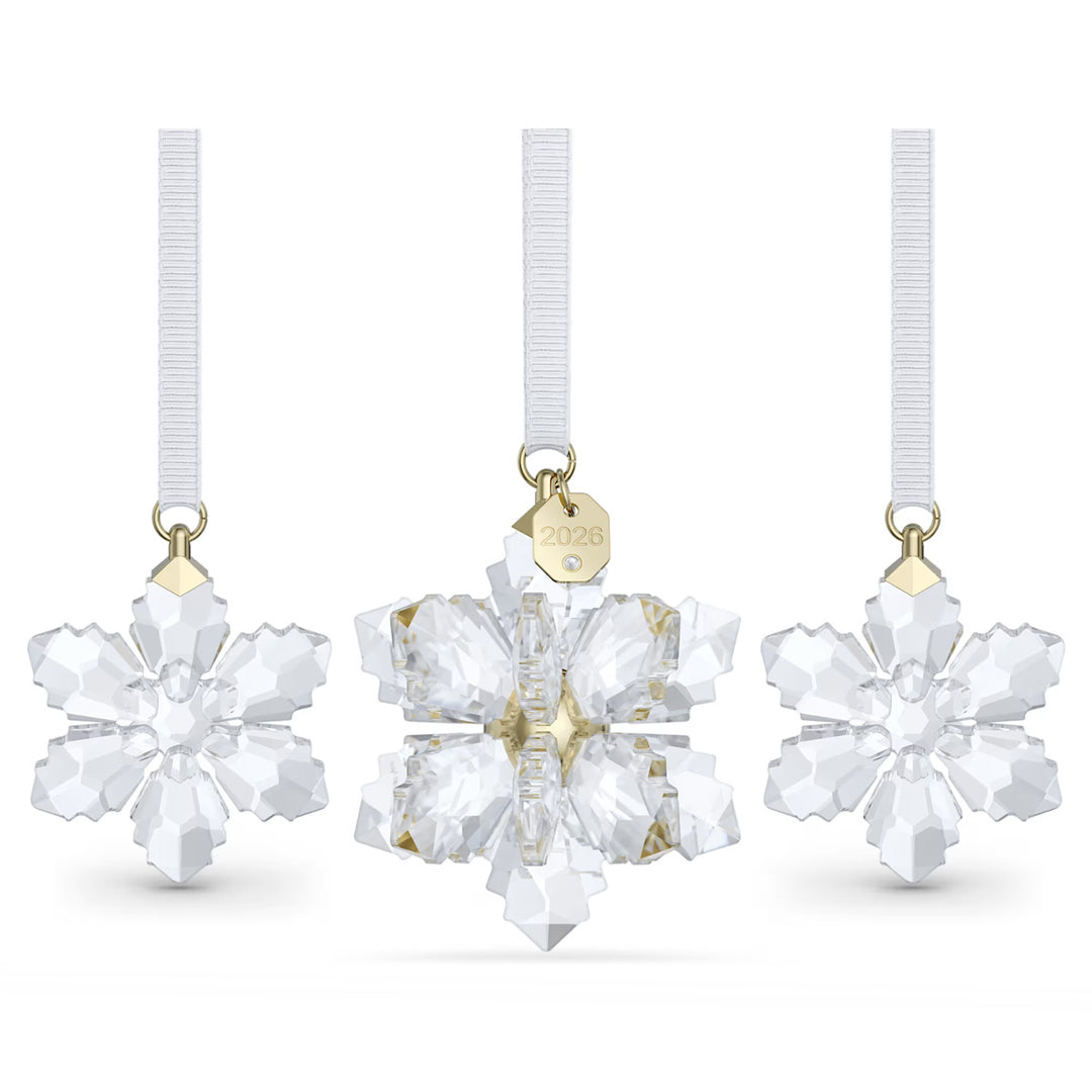 Swarovski Annual Edition Set Decorazioni 3D 2026 - 5731943