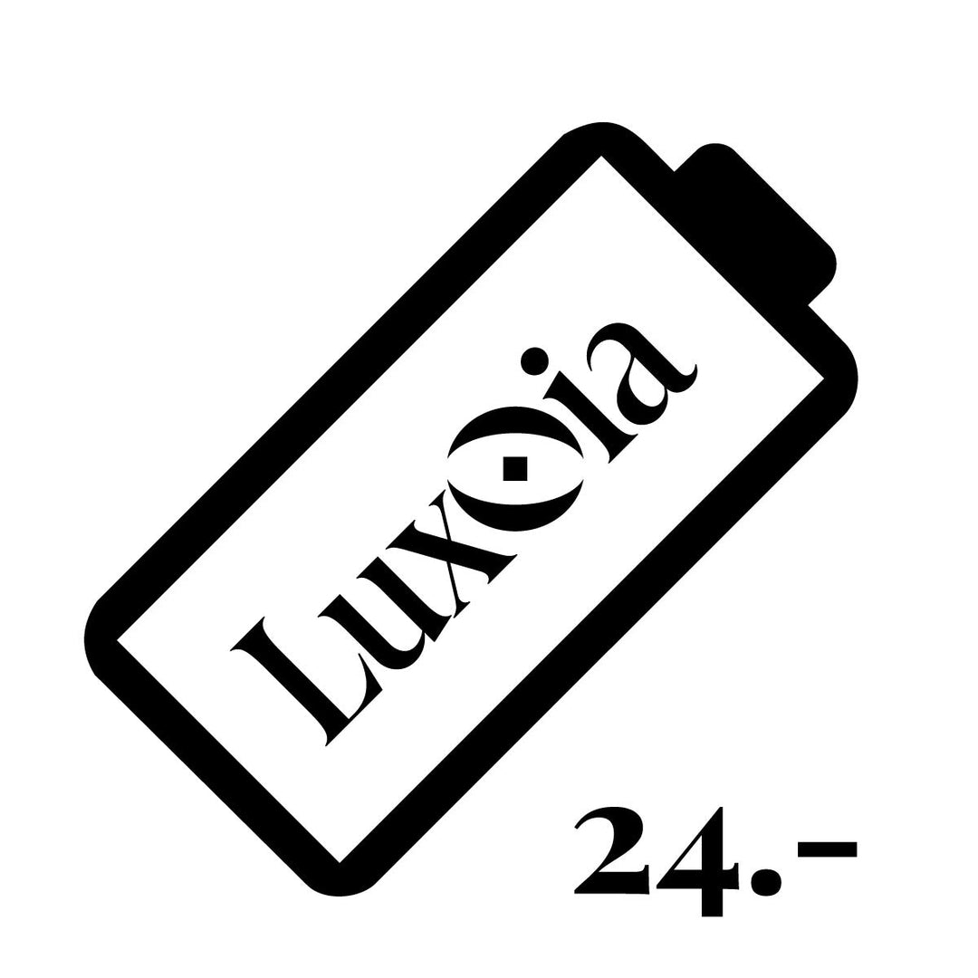 Batteriewechsel Lithium CHF 24.-