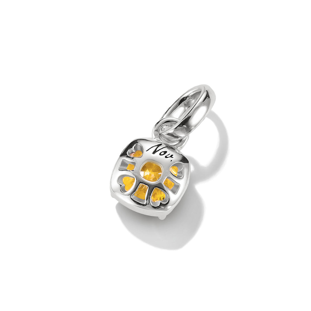 Thomas Sabo Charm-Anhänger Geburtsstein November Connect Silber - CC1339-051-4