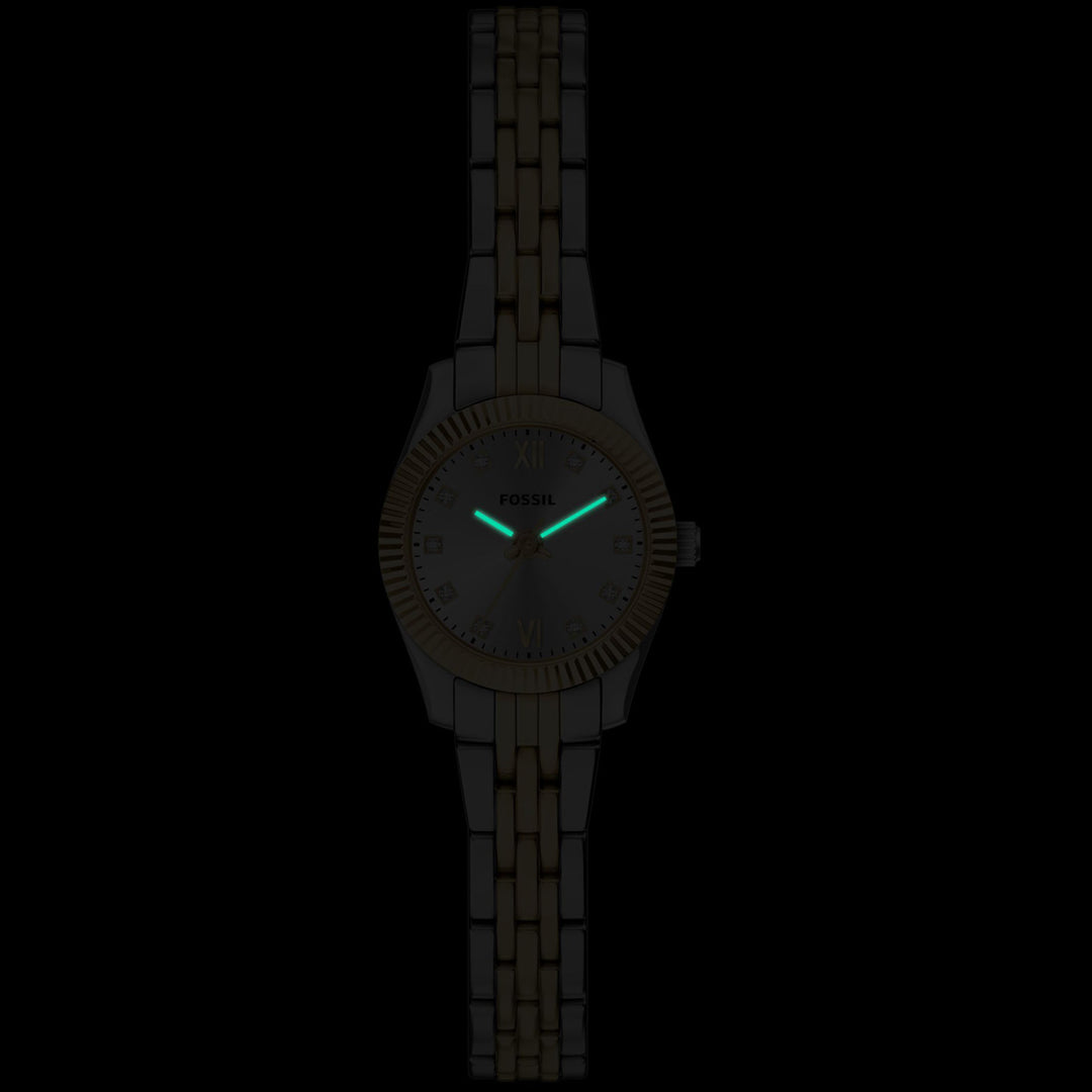 Fossil Scarlette Mini - ES5473