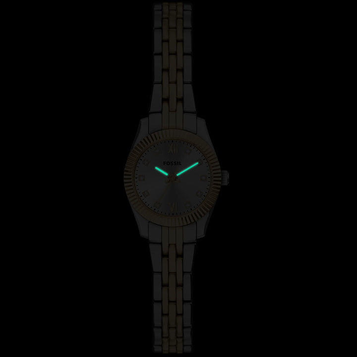 Fossil Scarlette Mini - ES5473