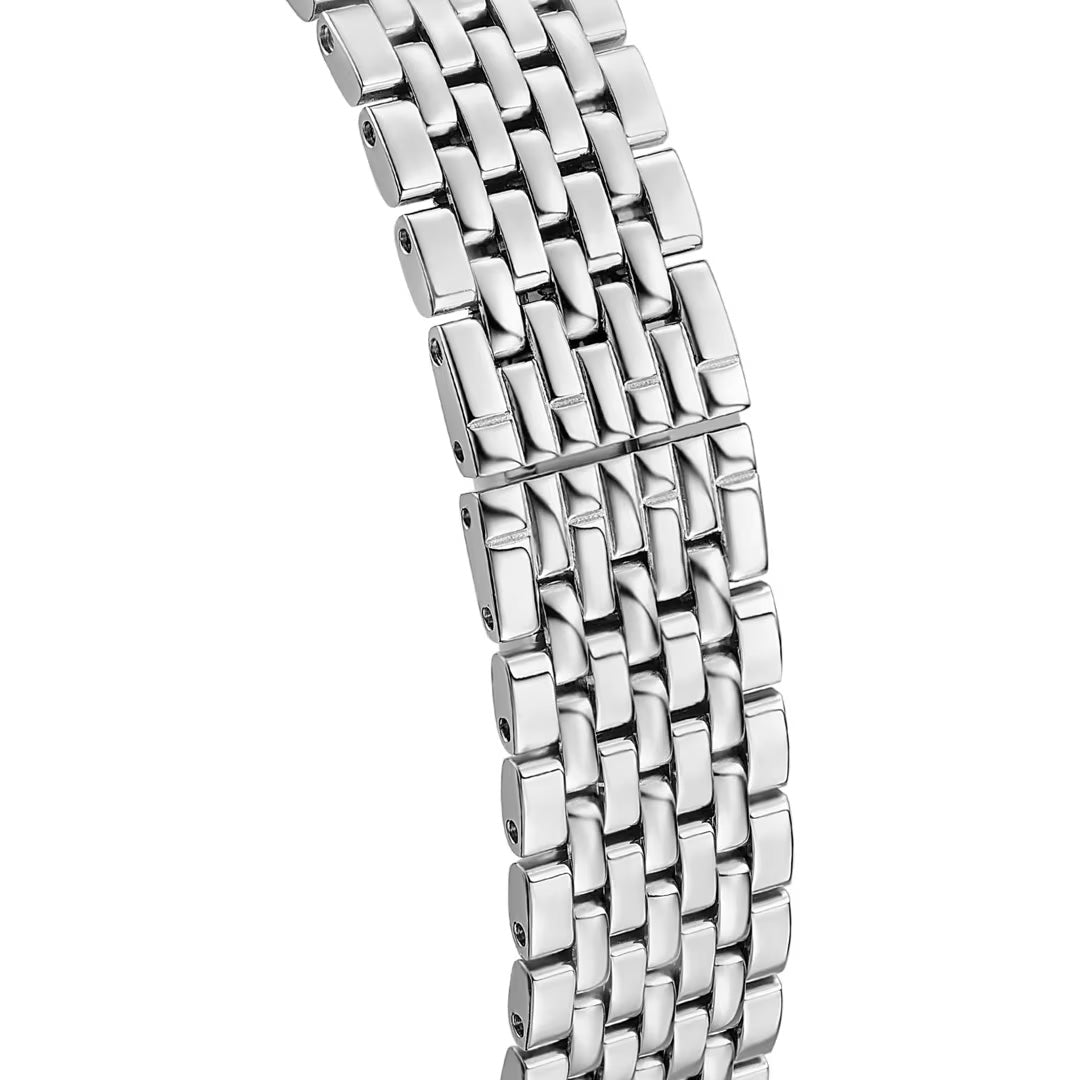 Festina Swiss Made - F20096/5