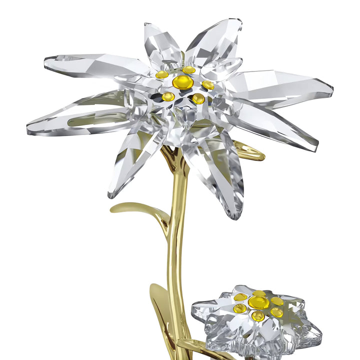 Swarovski Florere Jubiläums Glasglocke 130 Jahre - 5701376