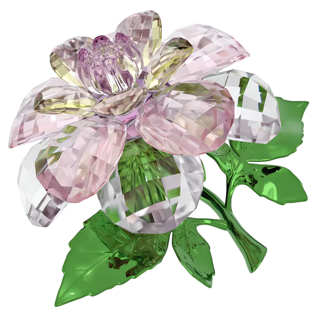 Swarovski Florere Kamelie - 5721538