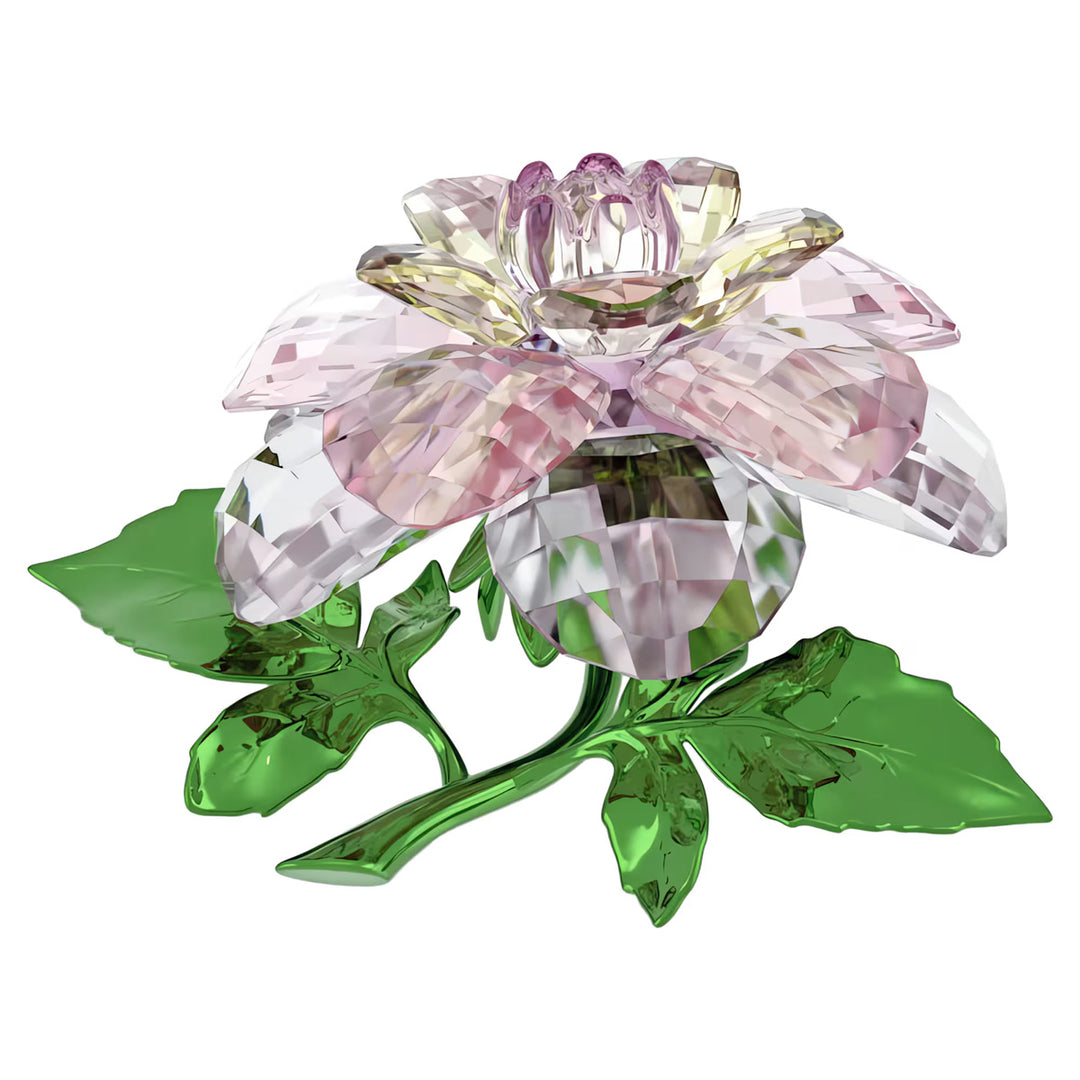Swarovski Florere Kamelie - 5721538