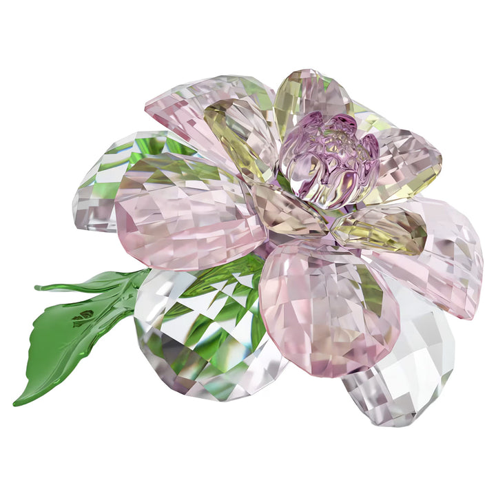 Swarovski Florere Camélia - 5721538