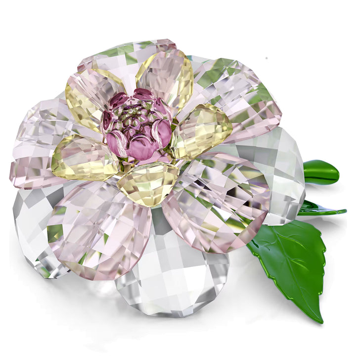 Swarovski Florere Kamelie - 5721538