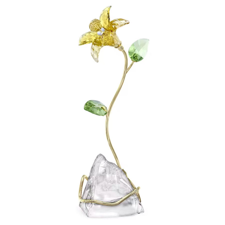Swarovski Florere Lilie - 5666972