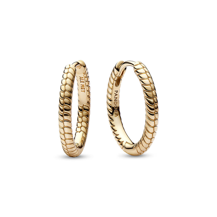 Pandora Moments Kleine Charm Ohrringe - 262728C00