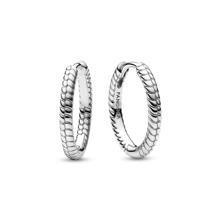Pandora Moments Kleine Charm Ohrringe - 292728C00