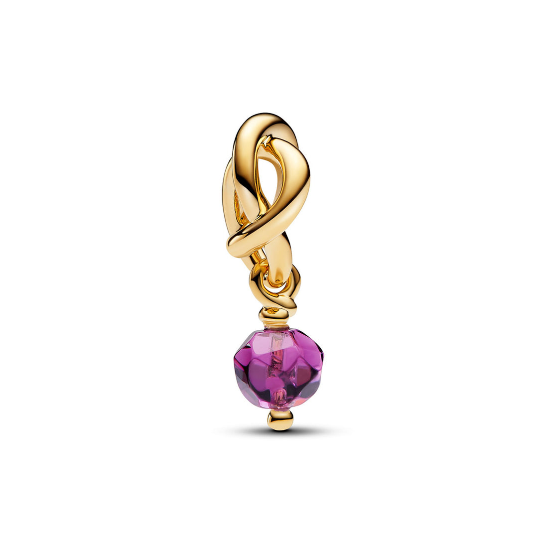 Pandora Facettierter violetter Ewigkeitskreis Charm Anhänger - 763462C02