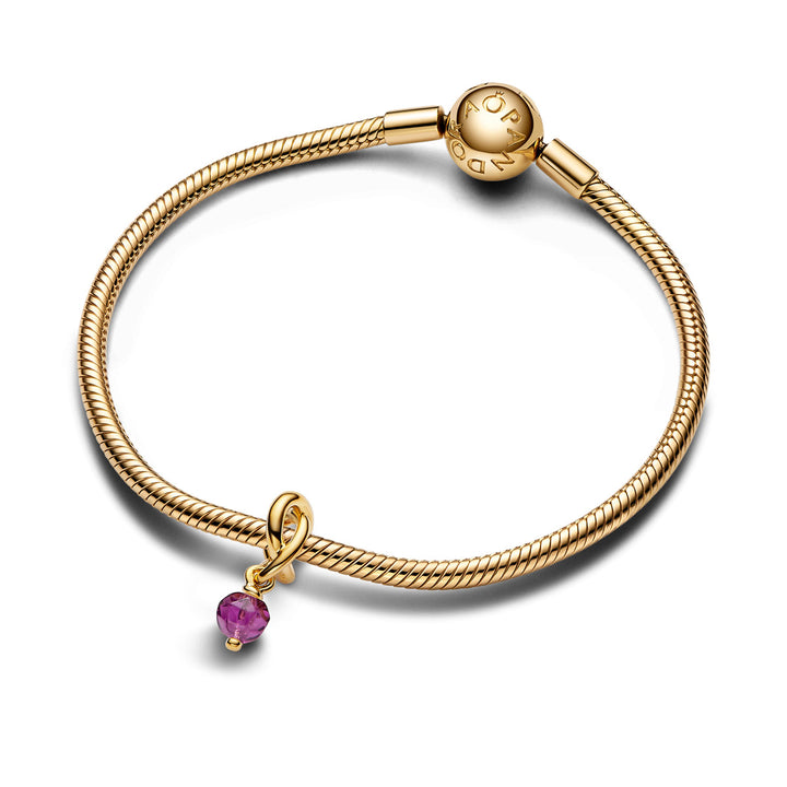 Pandora Facettierter violetter Ewigkeitskreis Charm Anhänger - 763462C02