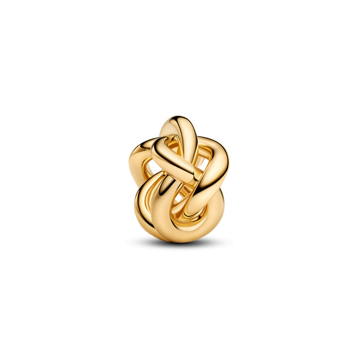 Pandora Unendlichkeitsknoten Charm - 763755C00