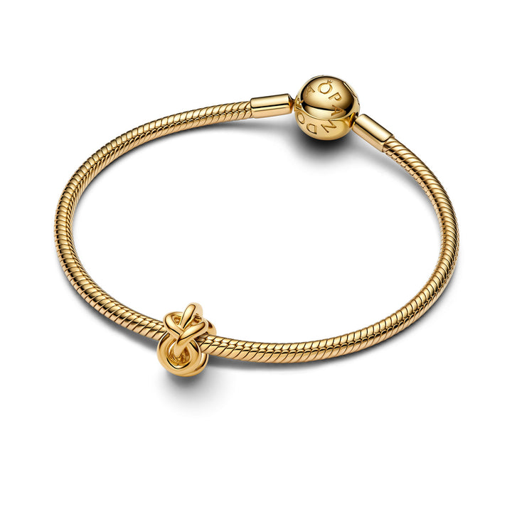 Pandora Unendlichkeitsknoten Charm - 763755C00