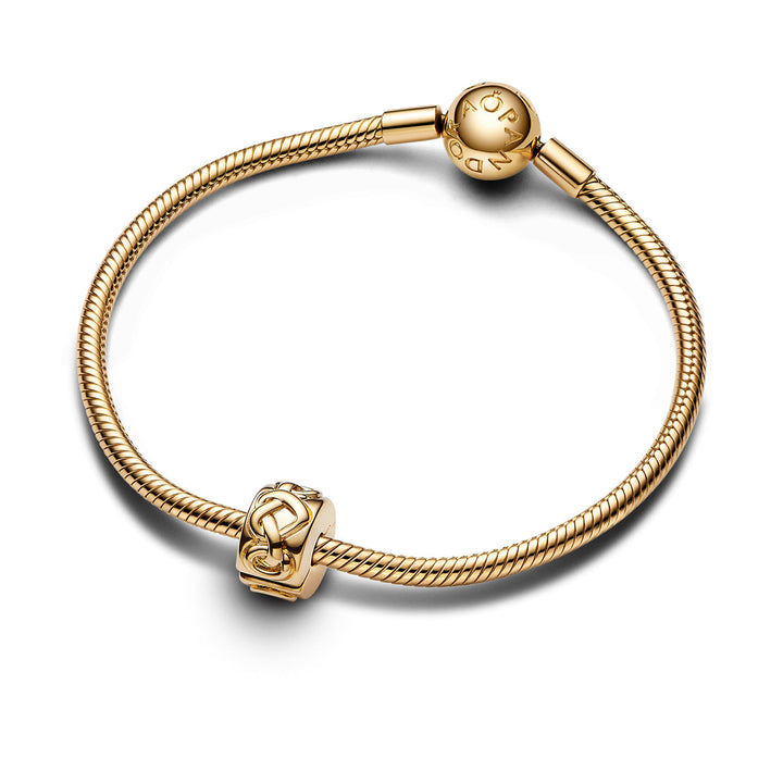 Pandora Liebesknoten Clip Charm - 768035C00