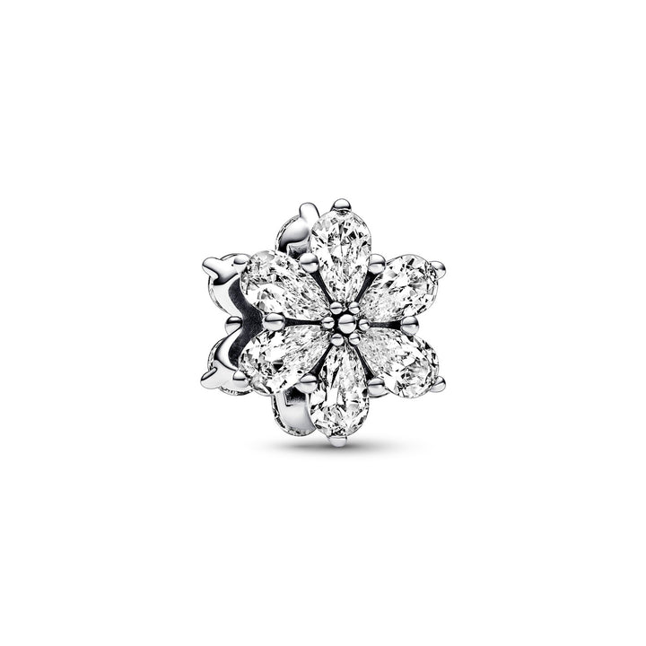 Pandora Funkelndes Herbarium Cluster Charm - 792623C01