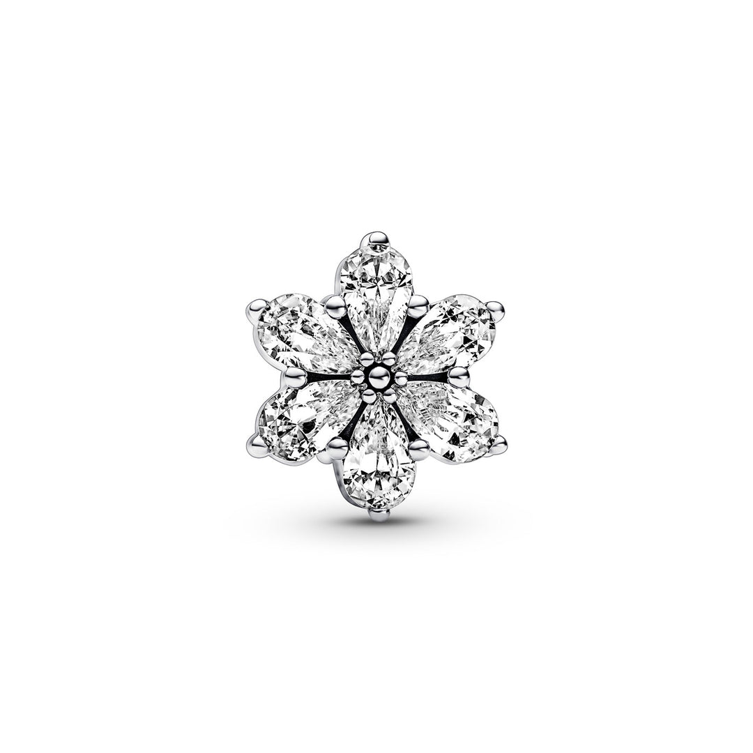 Pandora Funkelndes Herbarium Cluster Charm - 792623C01