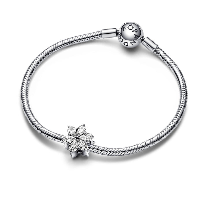 Pandora Funkelndes Herbarium Cluster Charm - 792623C01