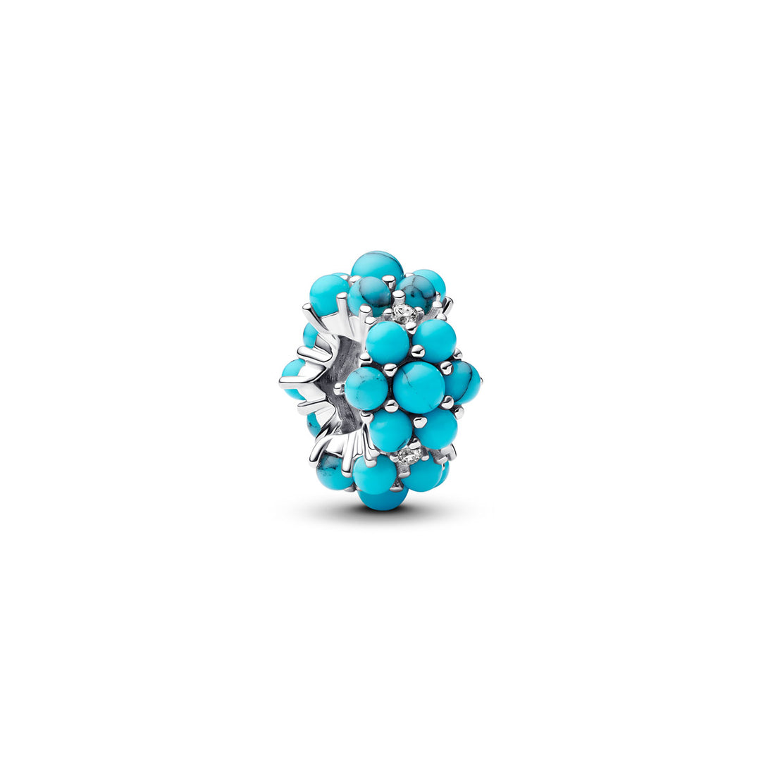 Pandora Türkisfarbenes Ozean Charm - 793897C02
