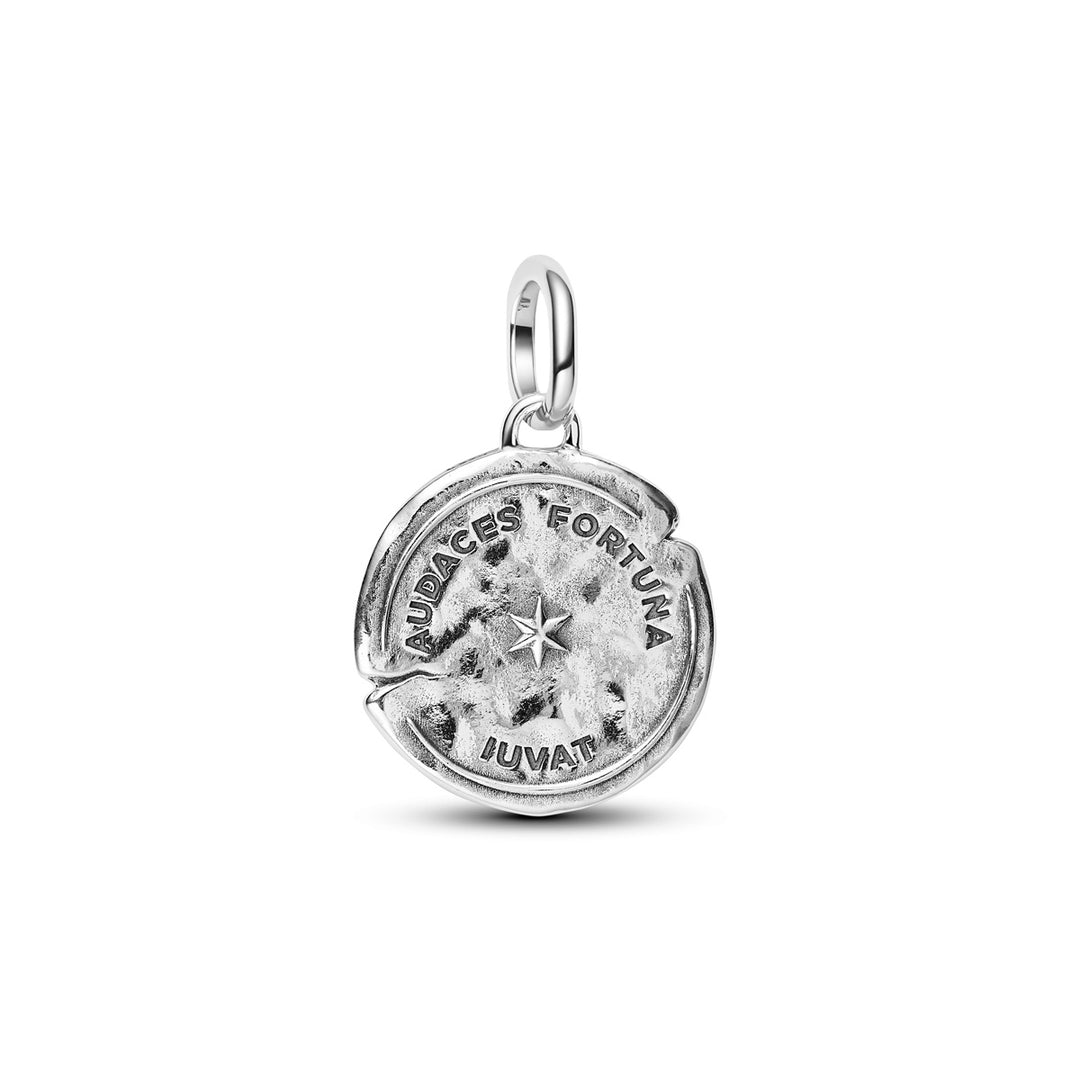 Pandora Dolphin Medallion Charm - 794807C01