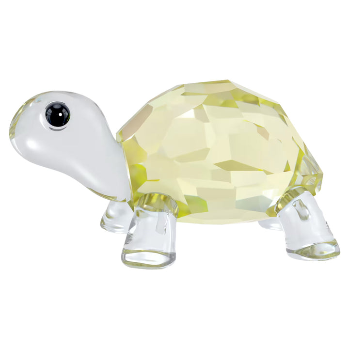 Swarovski Idyllia Baby Schildkröte - 5721550