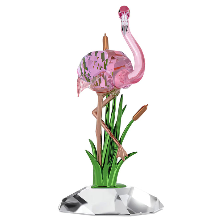 Swarovski Idyllia Flamingo - 5721551