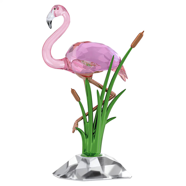 Swarovski Idyllia Flamingo - 5721551