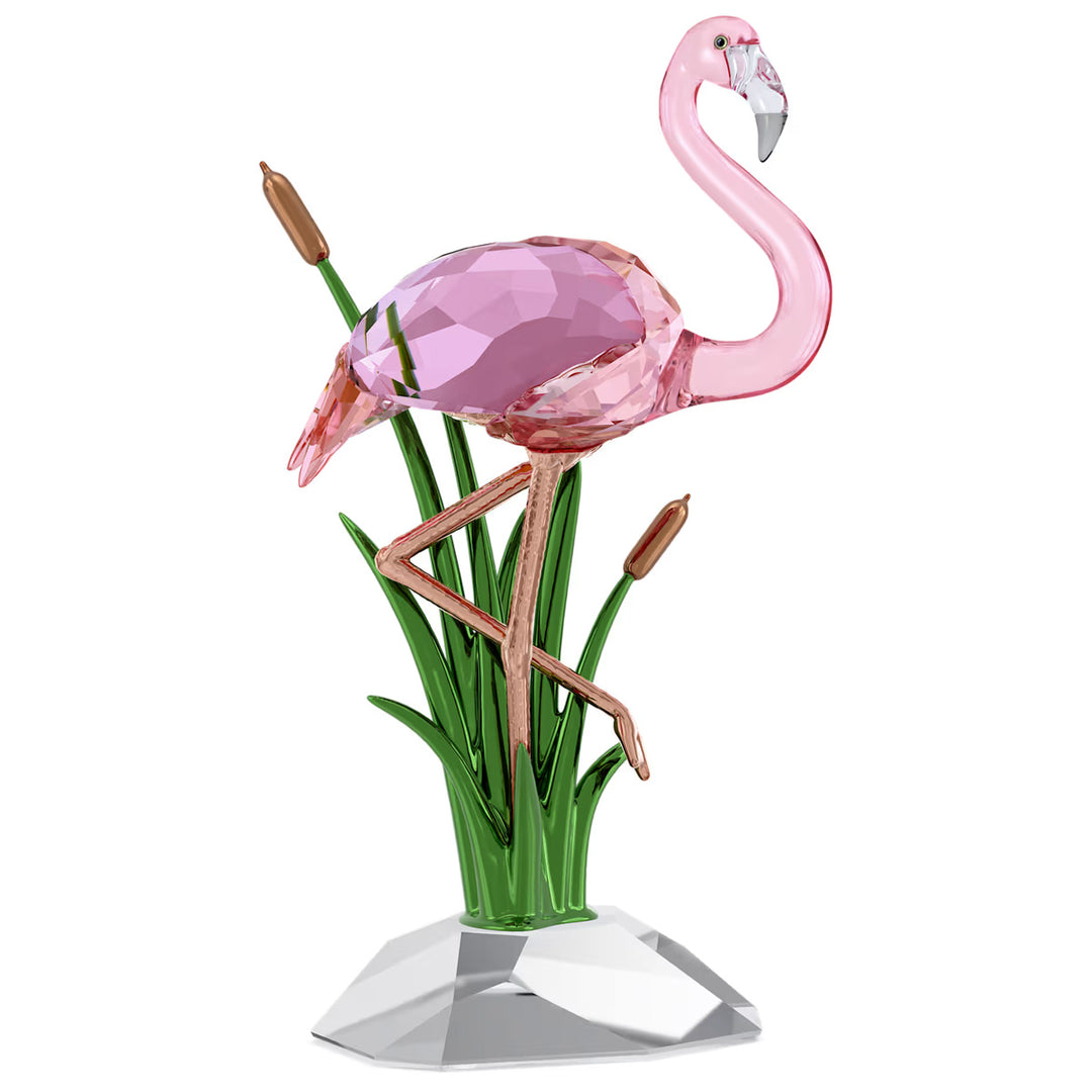 Swarovski Idyllia Flamingo - 5721551