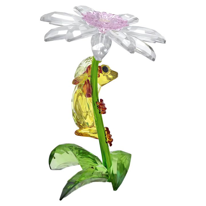 Swarovski Idyllia Frösche und Blume - 5670892