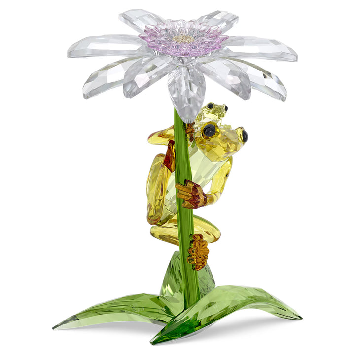 Swarovski Idyllia Grenouilles et Fleur - 5670892