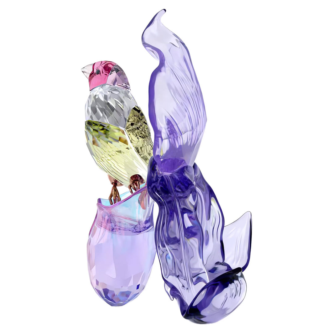 Swarovski Idyllia Gouldamadine und Orchidee - 5675211