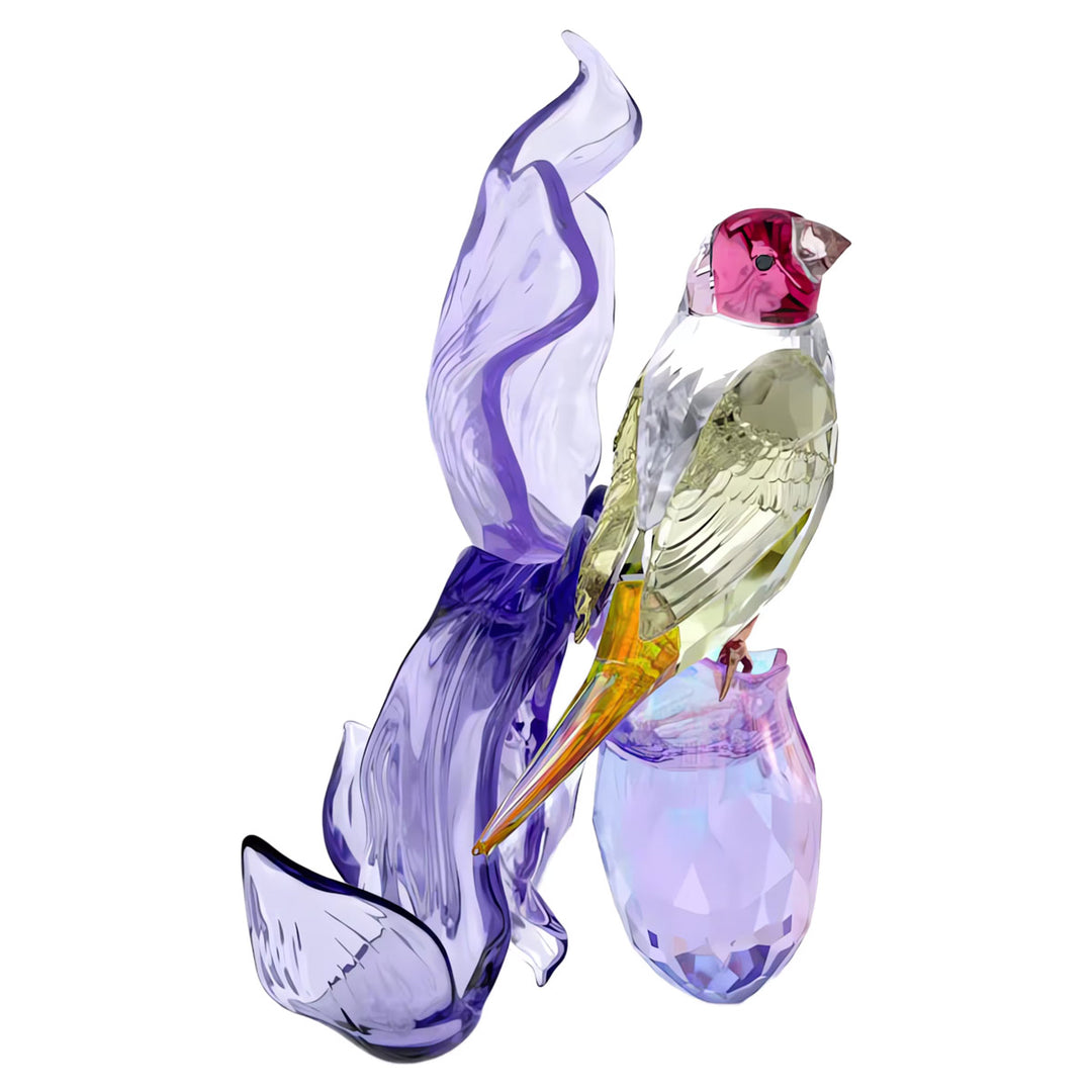 Swarovski Idyllia Gouldamadine und Orchidee - 5675211