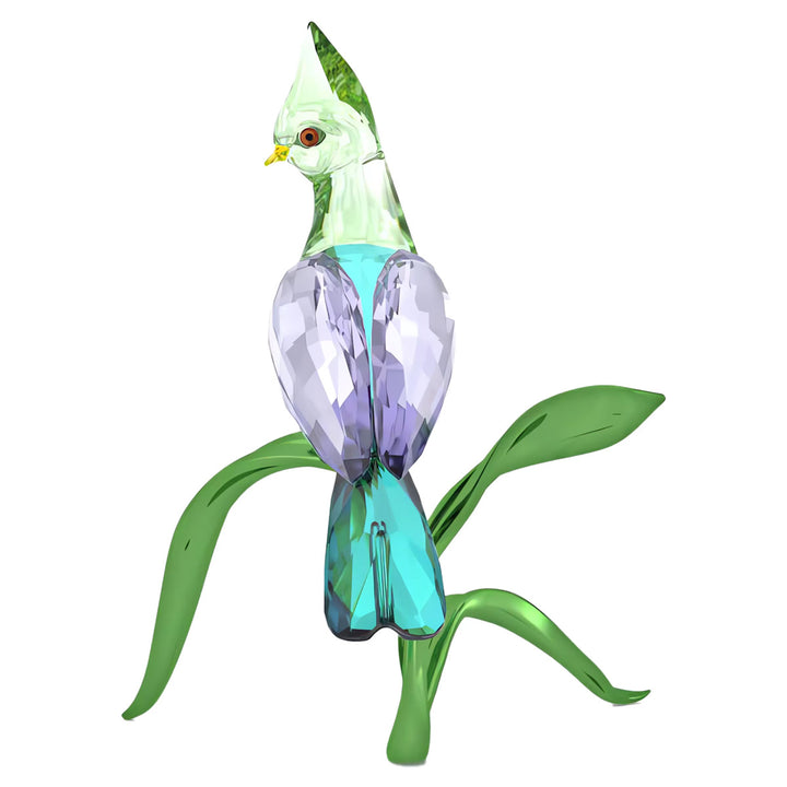 Swarovski Idyllia Guineaturako - 5693147