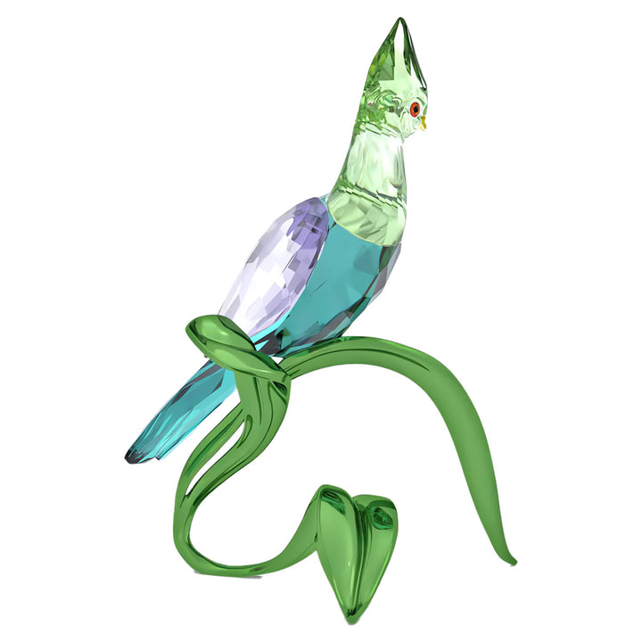 Swarovski Idyllia Guineaturako - 5693147