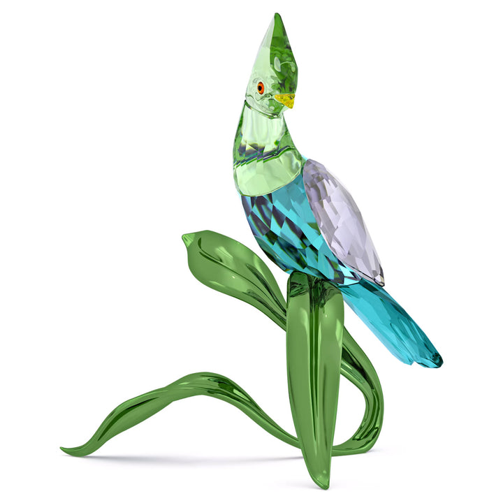 Swarovski Idyllia Guineaturako - 5693147