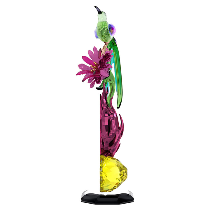 Swarovski Idyllia Honigfresser und Drachenfrucht Totem - 5677289