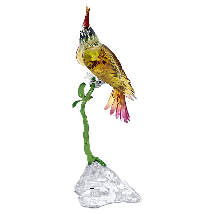 Swarovski Idyllia Kakadu - 5646611