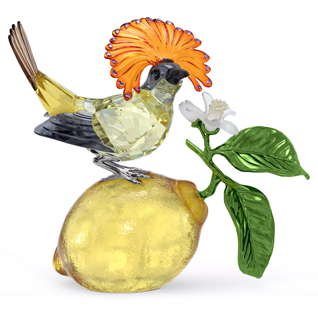 Swarovski Idyllia Royal Flycatcher - 5651811
