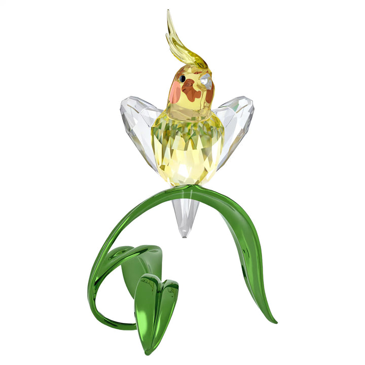 Swarovski Idyllia Nymphensittich - 5721544