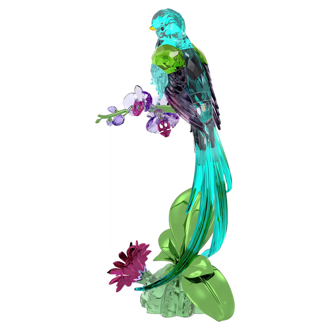 Swarovski Idyllia Quetzal und Orchidee - 5682123