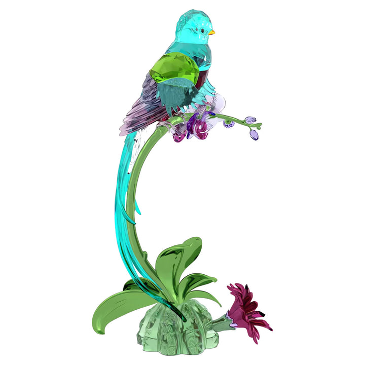 Swarovski Idyllia Quetzal und Orchidee - 5682123