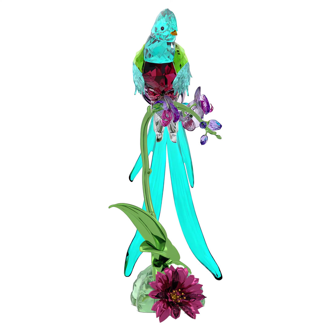 Swarovski Idyllia Quetzal und Orchidee - 5682123