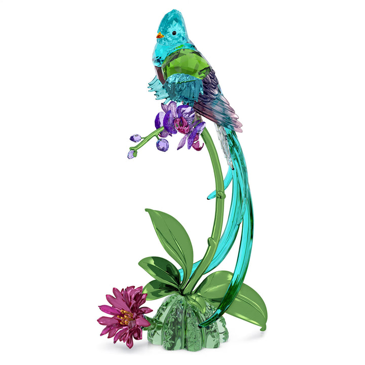 Swarovski Idyllia Quetzal et Orchidée - 5682123