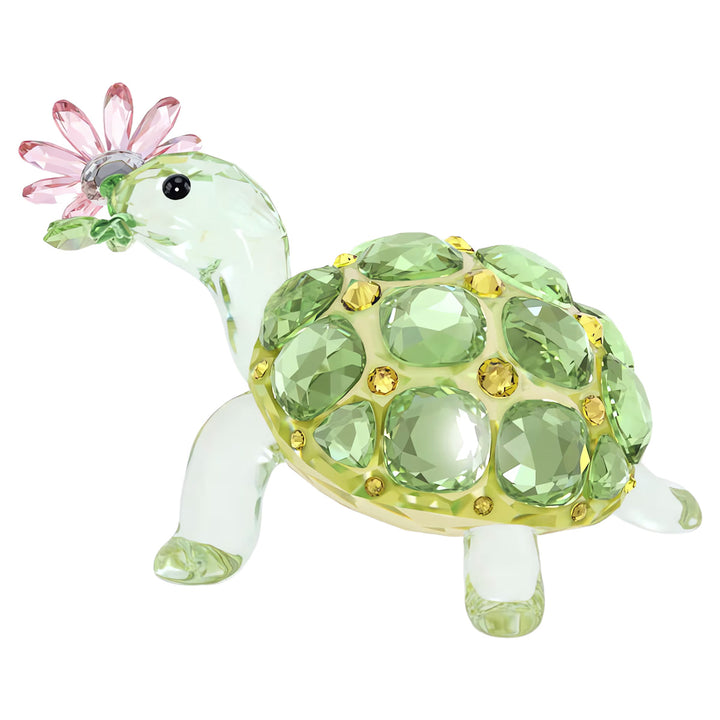 Swarovski Idyllia Schildkröte und Margerite - 5721542
