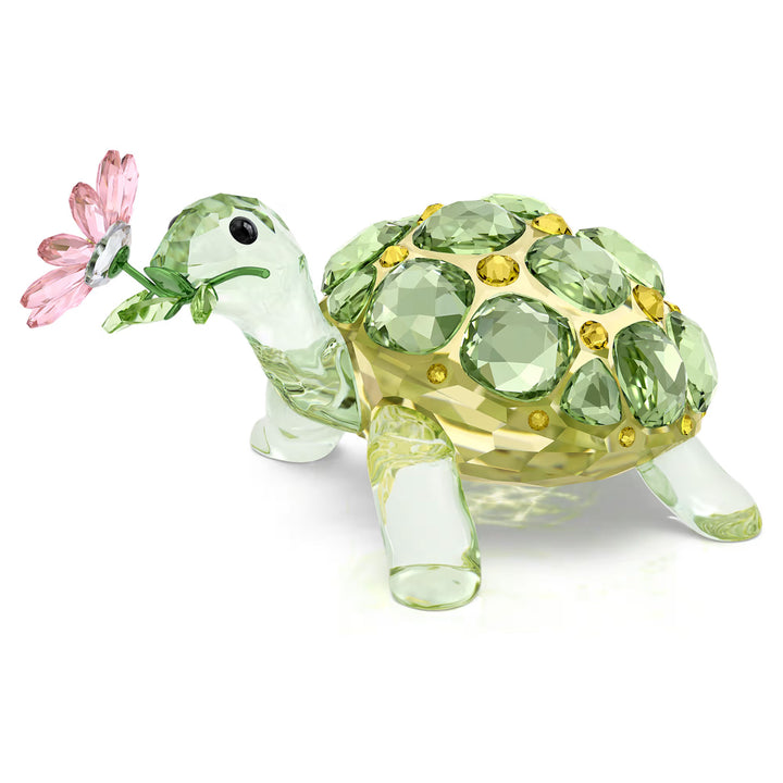 Swarovski Idyllia Schildkröte und Margerite - 5721542