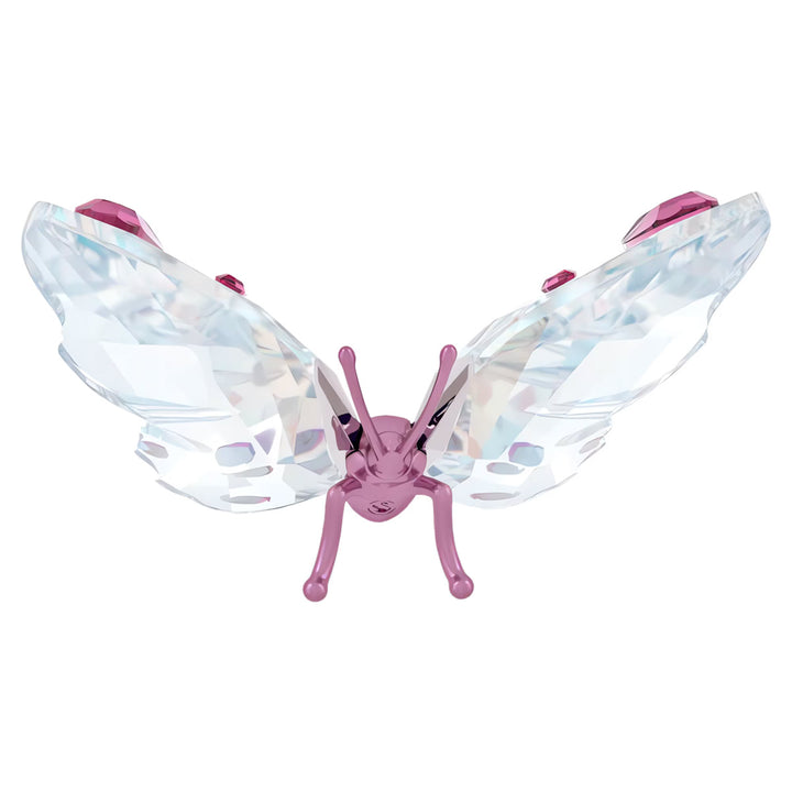 Swarovski Idyllia Schmetterling klein - 5691959