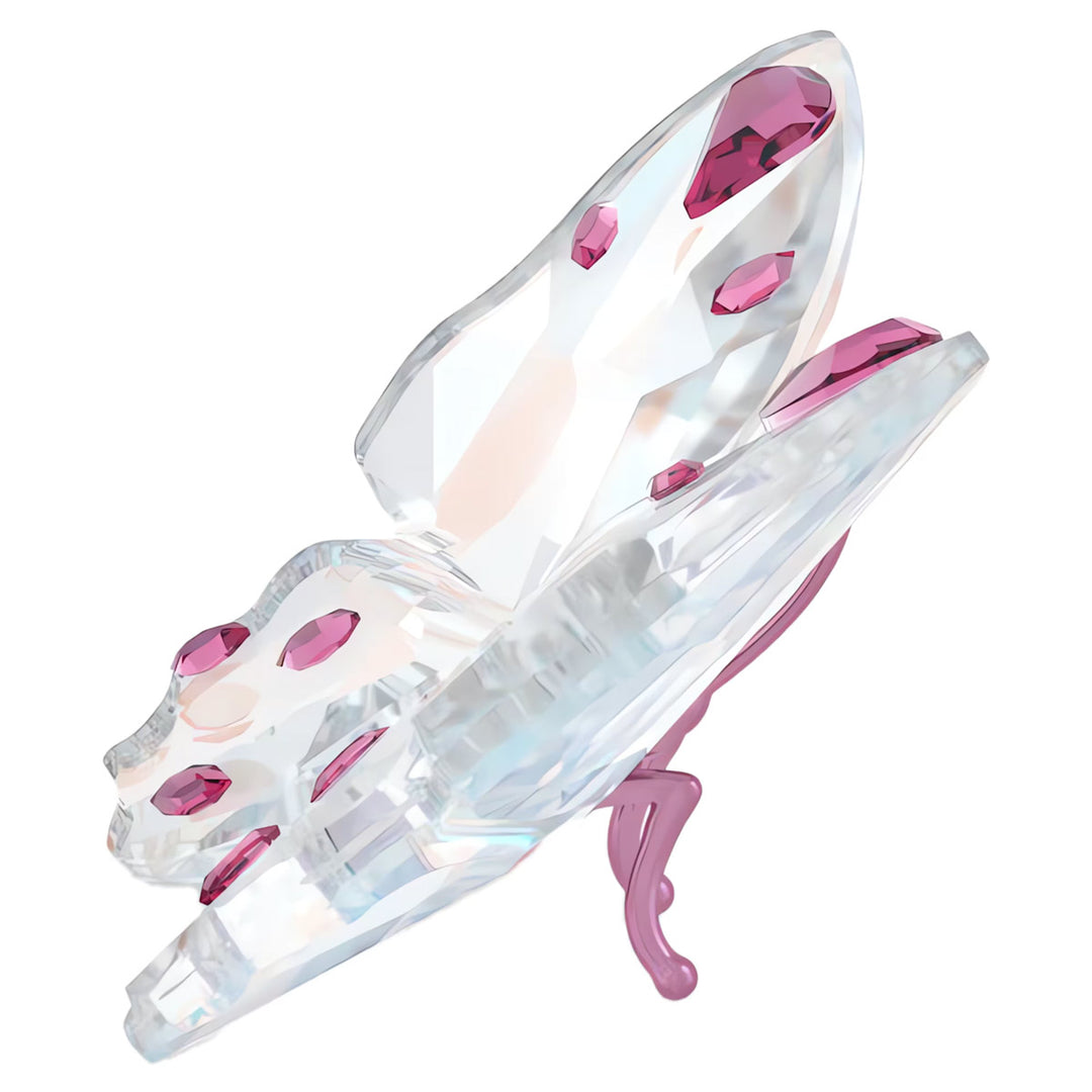 Swarovski Idyllia Schmetterling klein - 5691959