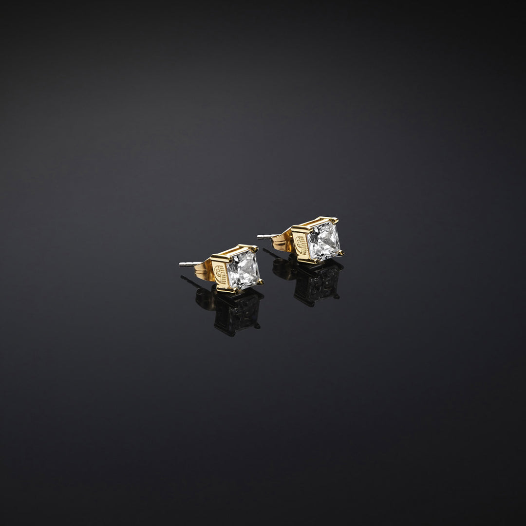 Chiara Ferragni Classic Ohrstecker - J19AVJ20